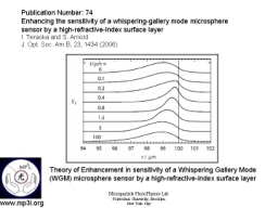 Whispering Gallery Mode Biosensor 015.JPG